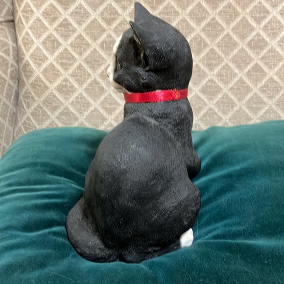 Beautiful black and white kitten sitting - Picture 5 of 11